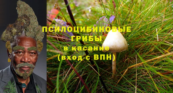 ALPHA-PVP Зеленодольск