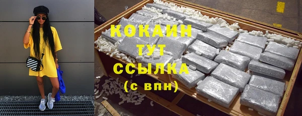 сатива Тихвин