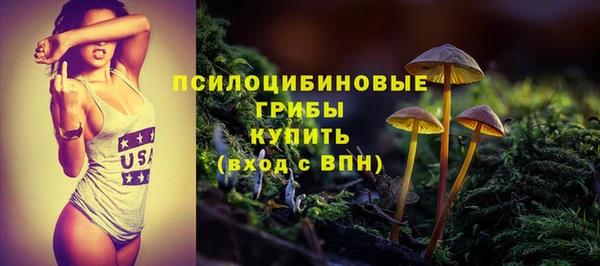 сатива Тихвин