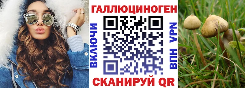 Купить закладки  Анапа  Псилоцибиновые грибы Psilocybe 