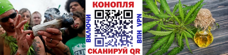 Бошки марихуана сатива  Купить закладки  Анапа 